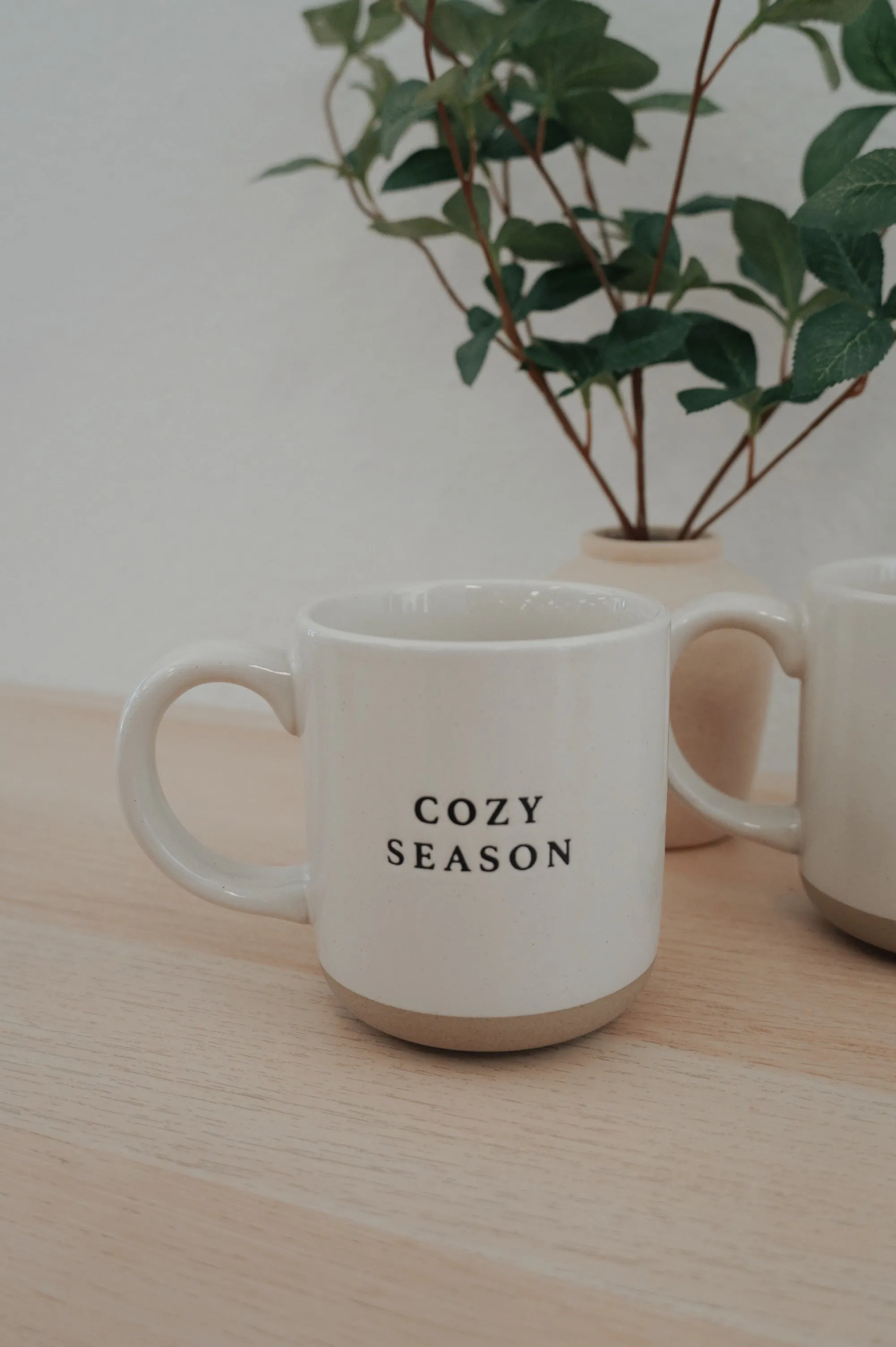 Cozy Season Mug