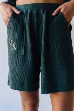 The Du Sol Cozy Ribbed Shorts in Teal